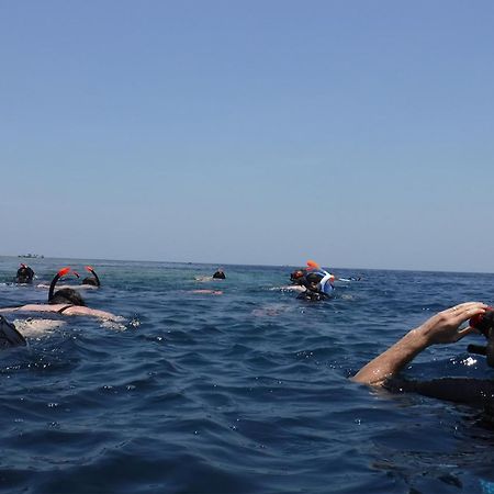 Avana Hotel & Dive Center Pemuteran Bagian luar foto